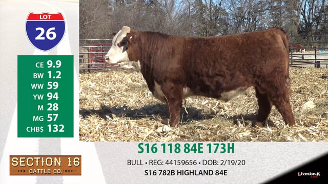 Lot #26 - S16 118 84E 173H