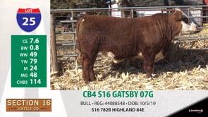 Lot #25 - CB4 S16 GATSBY 07G
