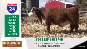 Lot #24 - S16 133F 84E 174H