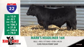 Lot #22 - MARK'S HEADLINER 16H
