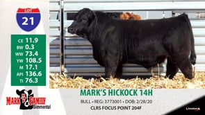 Lot #21 - MARK'S HICKOCK 14H