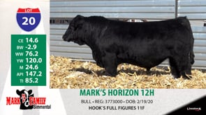 Lot #20 - MARK'S HORIZON 12H