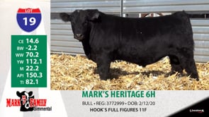 Lot #19 - MARK'S HERITAGE 6H