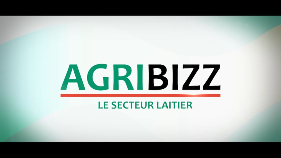 Agribizz: le secteur laitier 