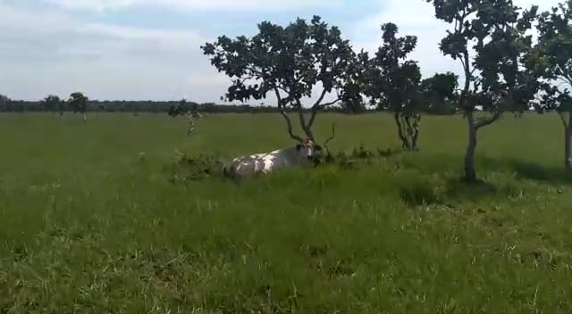 https://i.vimeocdn.com/video/1075248606-4a110512bdc3b14a55e71b2d19545f6f403146f9664abaf6f4408c8116c2762d-d