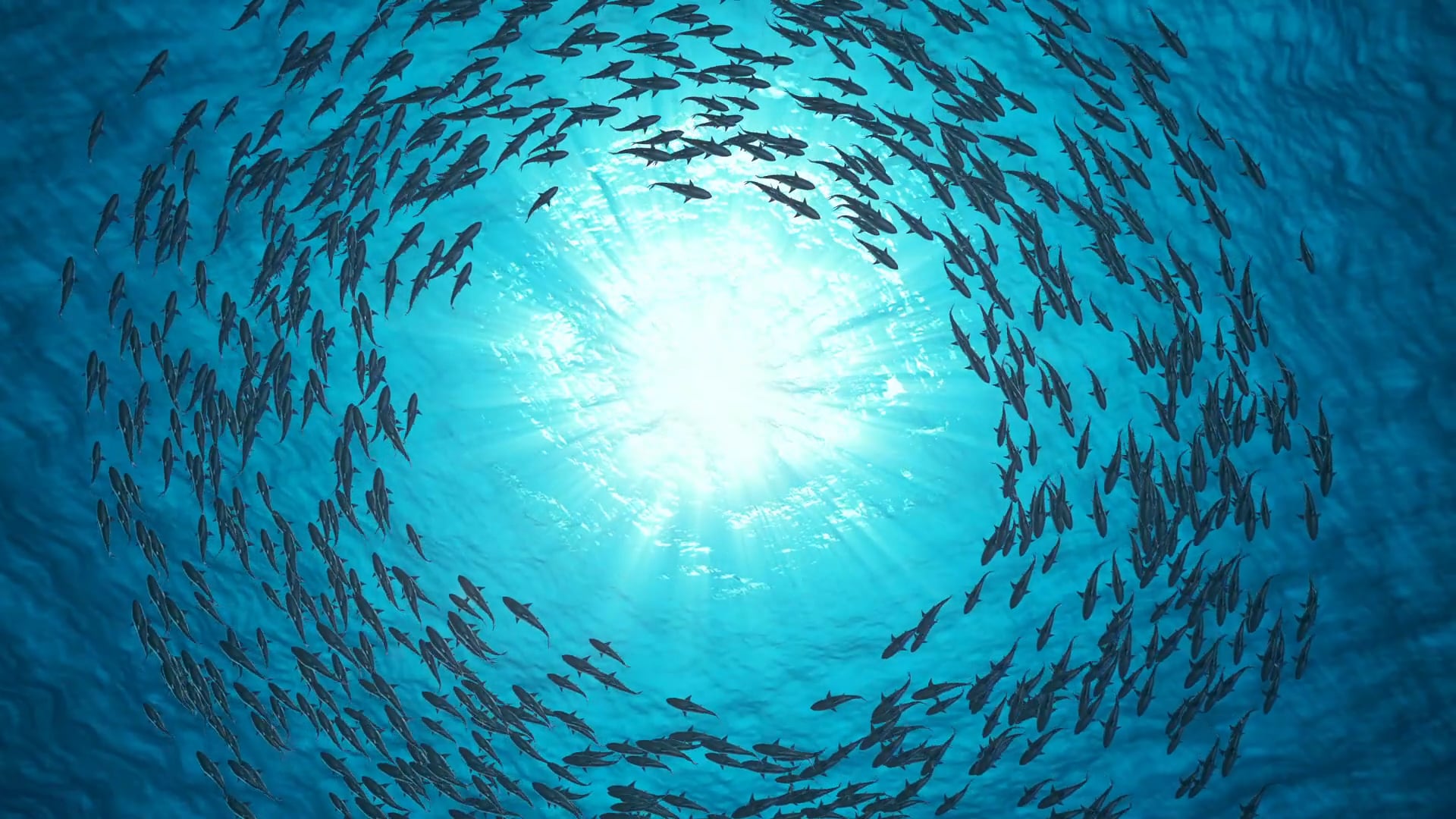 Neptune Fish Jerky, Sustainable Food for a Healthy Planet