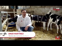 Pautas personalizadas