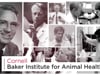 Cornell Baker Institute for Animal Health Promo 2021