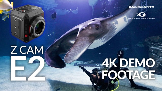 Z Cam E2 Underwater Test Footage | Georgia Aquarium | 4K 30p