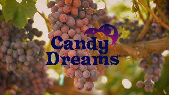 Candy In Dreams - Dream Interpretation and Meaning of Candy in Dreams