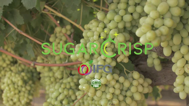 Sugar Crisp Green Seedless Grapes