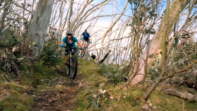 Dream of Falls Freedom