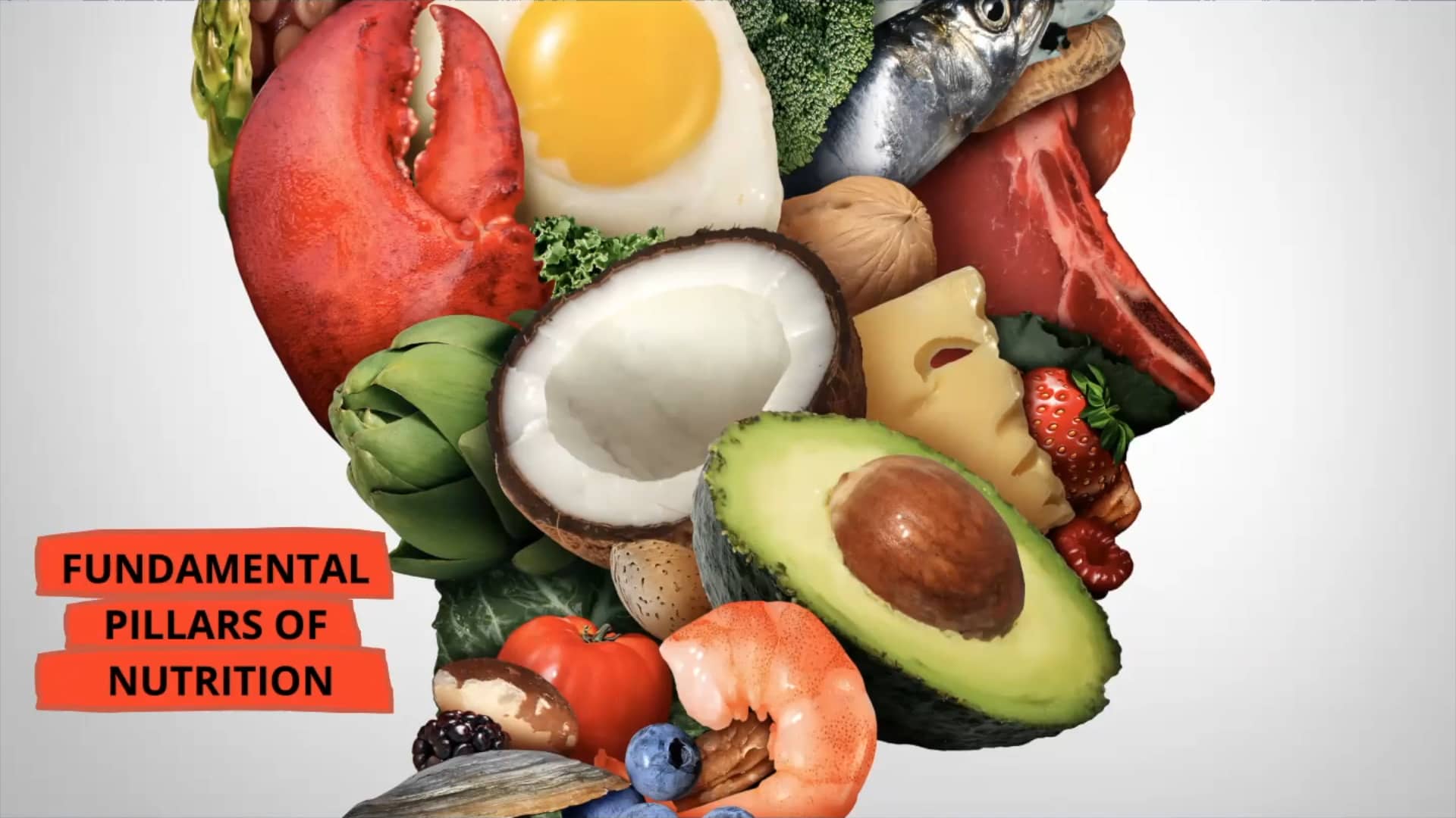 The Fundamental Pillars of Nutrition on Vimeo