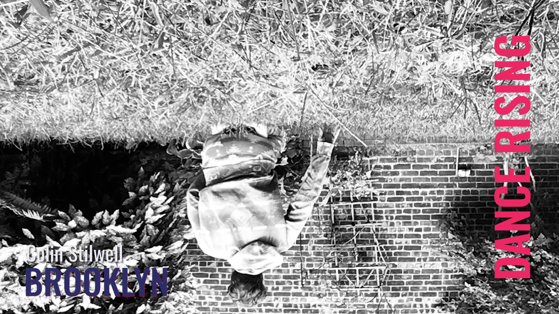 DANCE RISING NYC - BROOKLYN COMPILATION 1