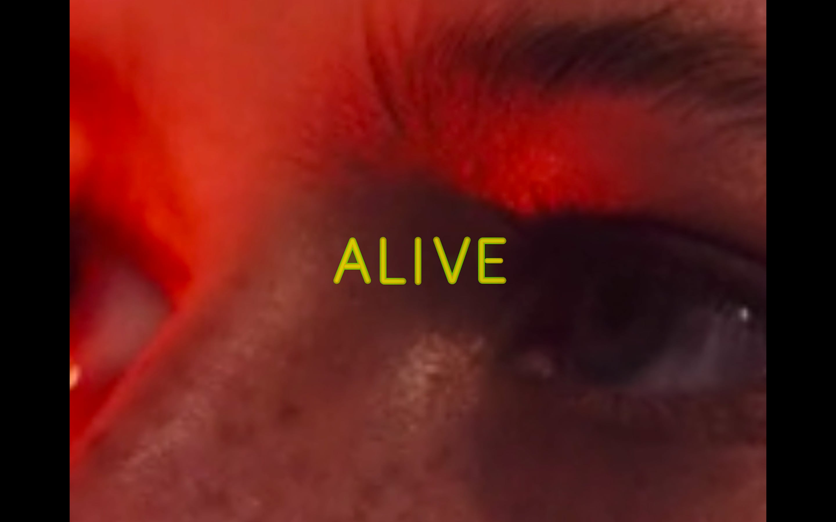 Alive in 60 seconds