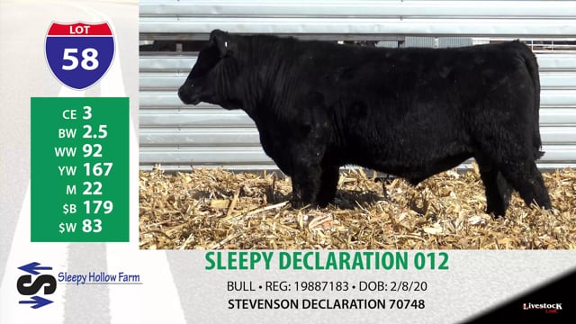 Lot #58 - SLEEPY DECLARATION 012