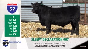 Lot #57 - SLEEPY DECLARATION 007