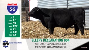 Lot #56 - SLEEPY DECLARATION 004