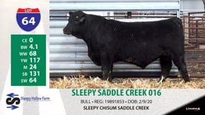 Lot #64 - SLEEPY SADDLE CREEK 016
