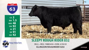 Lot #63 - SLEEPY ROUGH RIDER 032