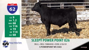 Lot #62 - SLEEPY POWER POINT 026