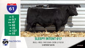 Lot #61 - SLEEPY INTENT 017