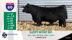 Lot #60 - SLEEPY INTENT 001