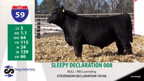 Lot #59 - SLEEPY DECLARATION 008