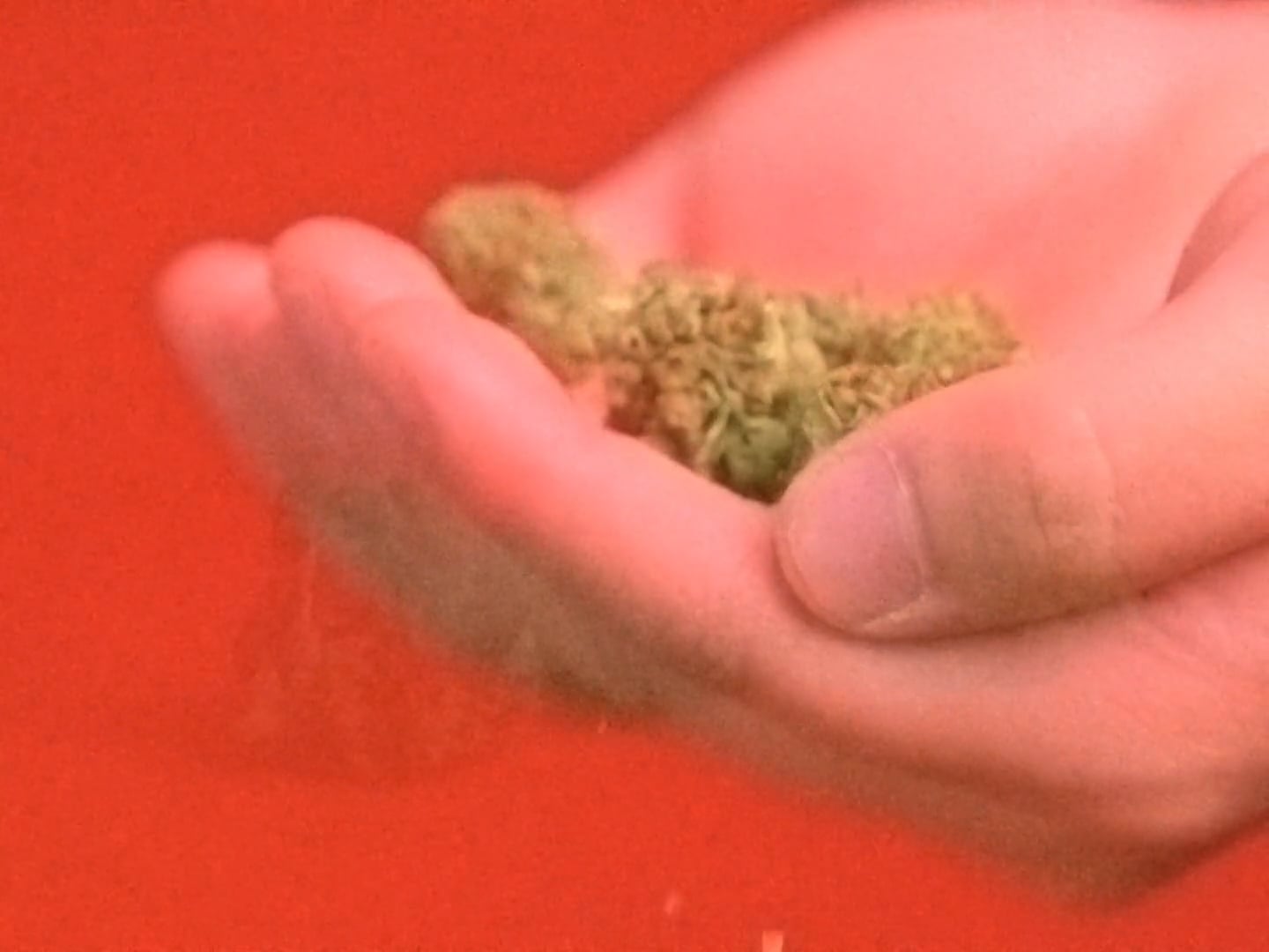 "Your Target Consumer" Kingsway on Vimeo