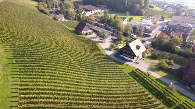 Weingut Klosterhof - Klicken, um das Video zu öffnen