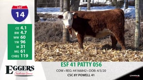 Lot #14 - ESF 41 PATTY 056