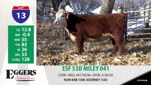 Lot #13 - ESF 53D MILEY 041