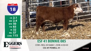 Lot #18 - ESF 41 BONNIE 085