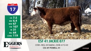 Lot #17 - ESF 41 JACKIE 077