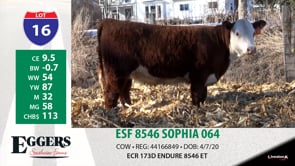 Lot #16 - ESF 8546 SOPHIA 064