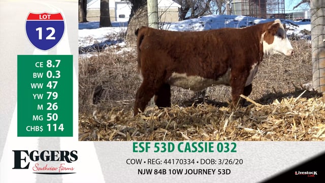 Lot #12 - ESF 53D CASSIE 032