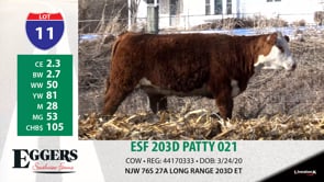 Lot #11 - ESF 203D PATTY 021