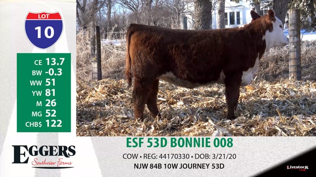 Lot #10 - ESF 53D BONNIE 008