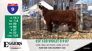 Lot #9 - ESF 53D VIOLET 007