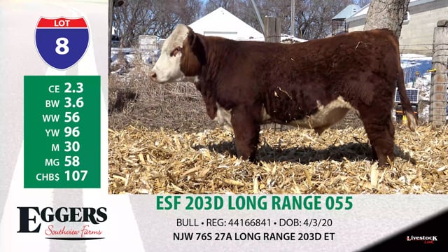Lot #8 - ESF 203D LONG RANGE 055