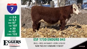 Lot #7 - ESF 173D ENDURE 045