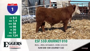 Lot #1 - ESF 53D JOURNEY 010