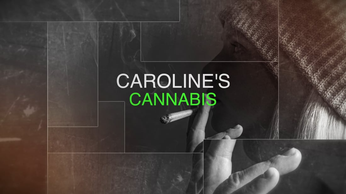 Adult Use Recreational Marijuana at Caroline's Cannabis, Massachusetts