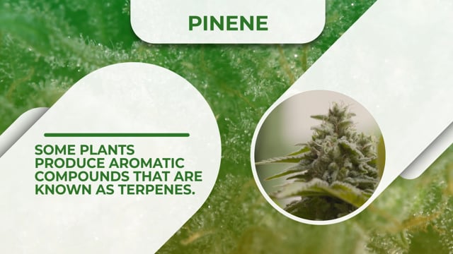 Pinene