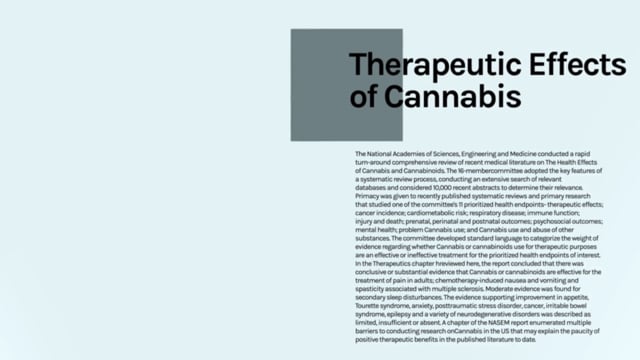 The Therapeutic Effect of Cannabis