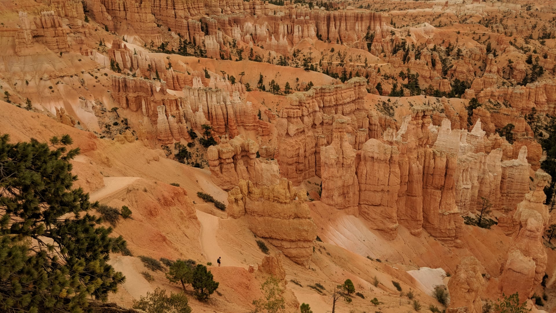 2021 February 25: Self-Monitoring and Recalibrating Your Level of Energy