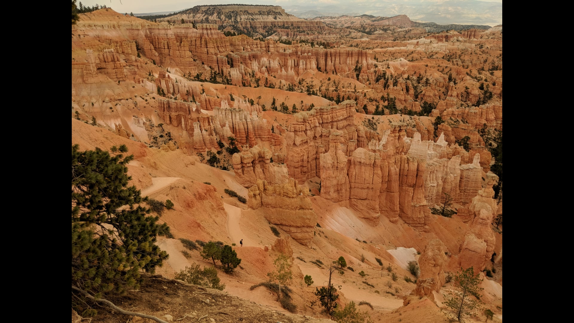 2021 February 25: Self-Monitoring and Recalibrating Your Level of Energy