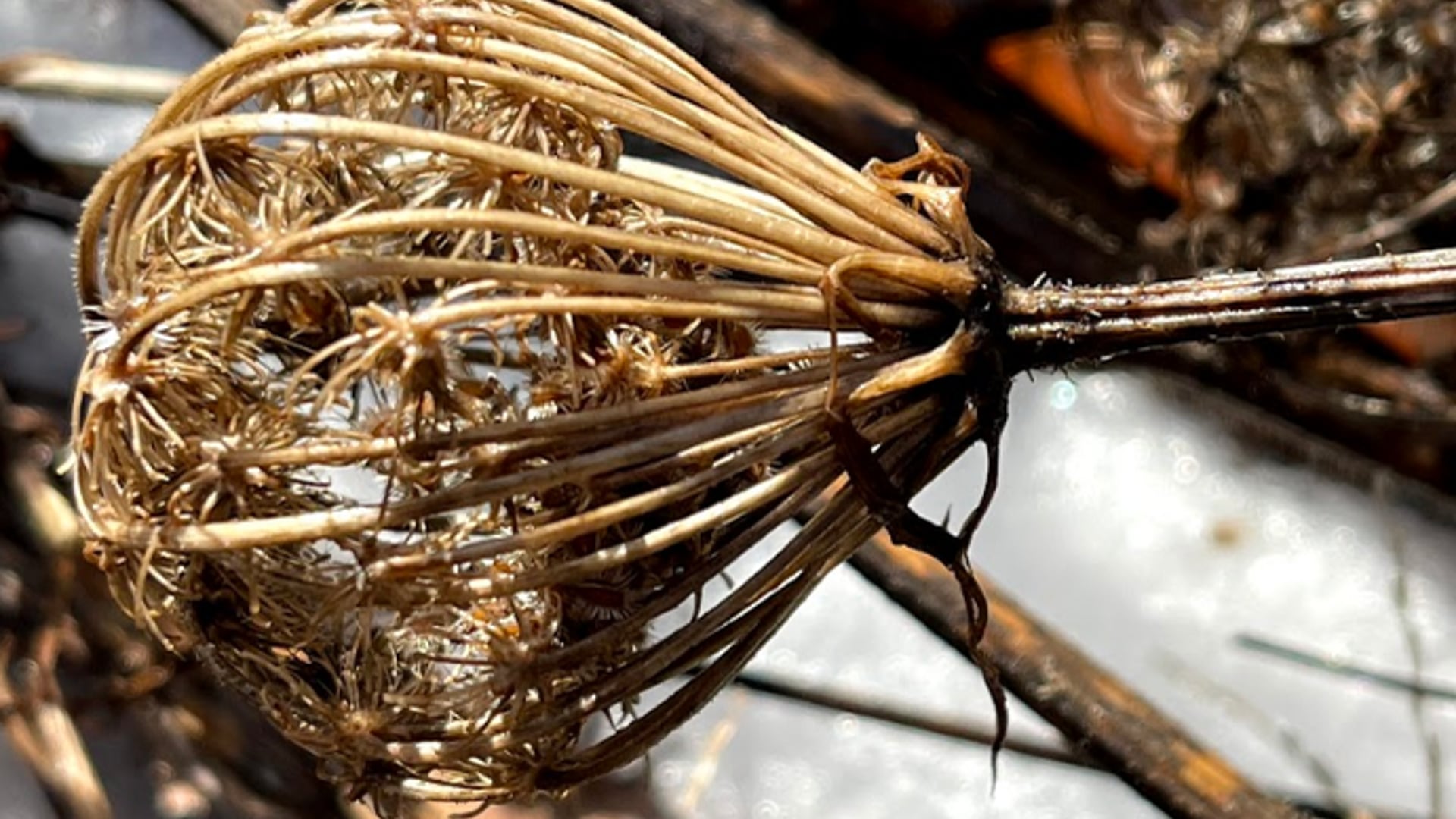 2021 March 01: Overview of Right Concentration