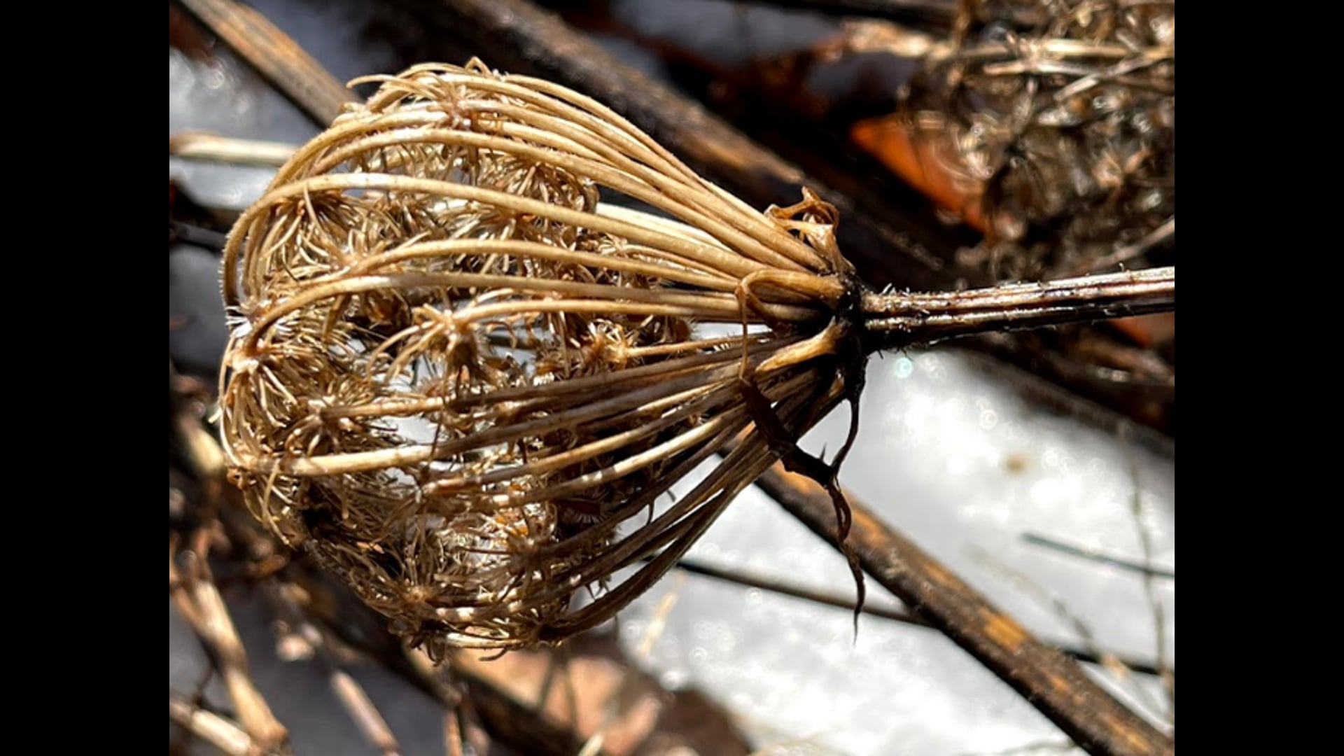 2021 March 01: Overview of Right Concentration