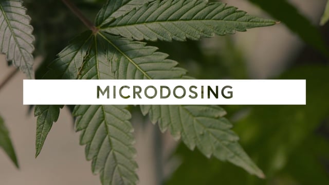 Benefits of Microdosing